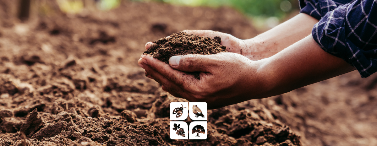 Tailgate | Holistic Soil Health